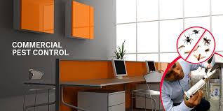 If you book pest control service in chennai through this portal, then it is certain that you will get the best service for. Office Pest Control Cost In Chennai Raj Enterprises Office Pest Control Services In Chennai