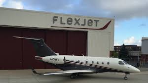 Image result for Tan 2020 Fleet