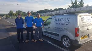 You'll also avoid exposing your kids and pets to a dead. Local Pest Control Services Hanlon Pest Control