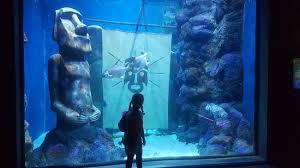 Funtastic Aquarium Izmir Funtastic Aquarium Izmir Yorumlari Tripadvisor