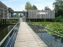 Federseemuseum Bad Buchau Manfred Lehmbruck Modern Buildings Building Modern