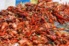 FedEx Station Pickup Live Crawfish BythePound 1lbs