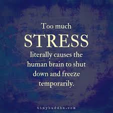 Pin By Debbie Hampton Mental And Brai On Stress Stress Quotes Too Much Stress Daily Motivational Quotes