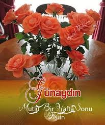 Hafta Sonu Resim 1 Guzel Guller Cicek Guller