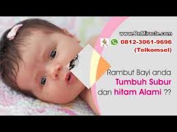 Cara melebatkan rambut dengan lidah buaya ( 100% ampuh )ternyata tanaman lidah buaya sangat bermanfaat sekali khususnya untuk kesehatan rambut.kali ini saya. 081230619696 Tsel Cara Melebatkan Rambut Anak Yg Tipis Youtube