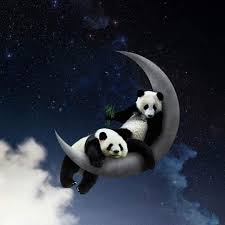 Pin By Fabiola Urquidi On Panda Panda Art Panda Cute Panda Wallpaper