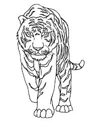 A Tiger Walking Very Cautiously Coloring Page Download Print Online Coloring Pages For Free Color Nimb Online Coloring Pages Coloring Pages Tiger Walking