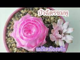 พ บเหร ยญโปรยทานดอกบ วฉ ตรชมพ byแม น ดน องเค ก ribbon art youtube ดอกไม ร บบ น งานฝ ม อ