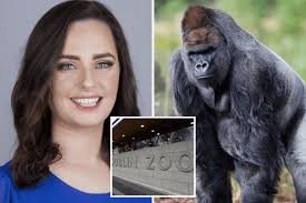 Dublin Zoo to face full investigation by Housing Dept over whistle-blower  animal welfare allegations