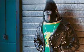 #sing movie #sing 2016 #johnny the gorilla #rosita the pig #ash the porcupine #meena the elephant #gunter the pig #buster moon #look i just want them to have a garage band. Taron Egerton As Johnny Sing Taron Egerton As Johnny Movies Hollywood Movies Hollywood 2k Wal Fantastic Beasts Movie Character Wallpaper Android Wallpaper