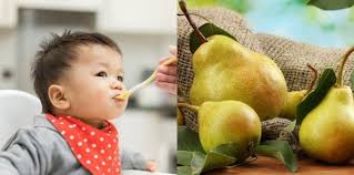 · kukus pir sampai lembek kemudian tambahkan asi untuk atur kekentalan lalu . Mpasi Buah Pir Ini 3 Manfaat Buah Pir Lengkap Dengan Resep Mpasi