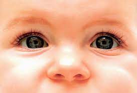 Every person is able to carry two copies of each gene. Baby Eye Color What Color Eyes Will My Baby Have