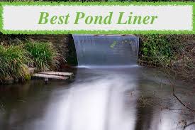 However, choosing a preformed pond liner makes this much harder. Best Pond Liner 2021 3 Cheap Reliable Products Practical Home Uk