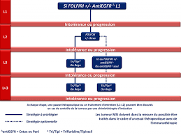 L Immunotherapie Cancer Colorectal Chimioterapie Cancer San L Immunotherapie Cancer Colorectal