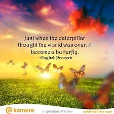 Image result for images butterfly transformation