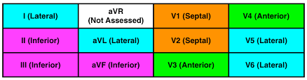 intro to 12 lead ecg interpretation free training posts