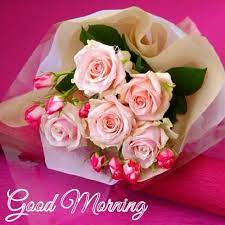 You are in the right place at the. Morning Roses For Her