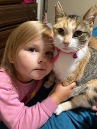 Tortoiseshell Cat Callie's Cuteness Overload