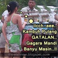 Gambar lucu emang selalu bisa jadi mood booster, apalagi kalau dibagikan di grup wa. Dp Bbm Lucu Gatalan Dp Bbm Animasi Terbaru Versi Photoshop Gambar Lucu Lucu Video Humor