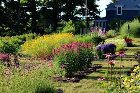Cherry picking in traverse city happens in july. Virginia Coulter Opens Old Mission Flowers Pick A Fresh Bouquet Old Mission Gazette