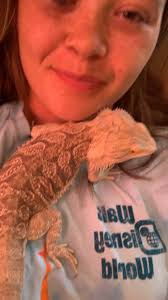 Pet Spider Man Giveaway