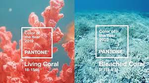 Ocean Color Palette 2020 Color Of The Year Pantone Color Of The Year 2020