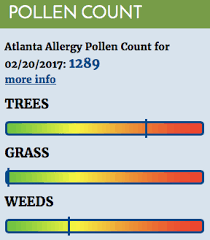 Gratis versand in 24 h bereits ab 20€. High Pollen Counts Reported Across Us As Mild Winter Weather Kick Starts Allergy Season Abc News