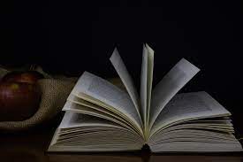 Kumpulan Kata-Kata Bijak dari Penulis Terkenal di Indonesia - Lifestyle  Katadata.co.id