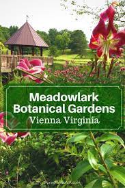 Visit Meadowlark Botanical Gardens For Year Round Beauty In Northern Va Botanical Gardens Conifers Garden Bell Gardens