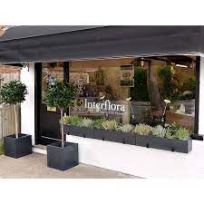 Herbaceous peonies are the most well known type of peony and probably the most converted wedding flower ever! The Cottage Garden Flower Shop Dunstable Florists Yell