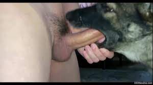 Dude with a hard cock throat-fucking a subby dog - XXXSexZoo.com