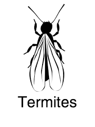 395 imperial way, daly city, ca 94015. Expert Pest Control