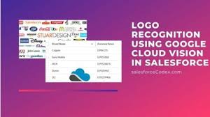 Logo Recognition Using Google Cloud Vision In Salesforce Salesforcecodex