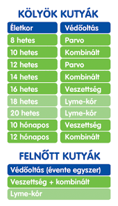 Egyszerűen, gyorsan, weboldalunkon vagy az otpdirekt internetbankon keresztül. Vedooltasok Rex Kisallatrendelo Allatkorhaz