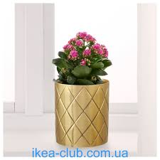 Ikea Ikea Club Ikea Vindflakt 304 256 29 Vaza Zolotij 11 Sm V Kiyevi Harkovi Dnipropetrovsku Odesi Zaporizh Gold Flower Pot Ikea Plants Ikea Vases