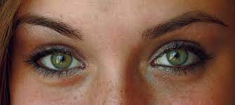 The research showed that those who have blue eyes have a single common ancestor. Understanding Genetics