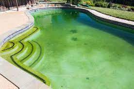 Die eisenproblematik tritt meist auf, wenn sie einen pool mit brunnenwasser statt mit meist ist das wasser im pool klar, wirkt aber grün, weil an den wänden und am boden algen wachsen. á Poolwasser Grun Was Tun So Wird Das Wasser Wieder Klar