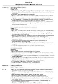 it process analyst resume samples