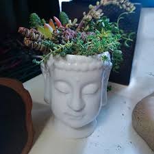 Dia tall round blue ceramic planter. Buddha Head Planter Zen White Ceramic Flower Pot For Succulents Plants Buddha Face Statue Fengshui Figurines Home Garden Decor Flower Pots Planters Aliexpress