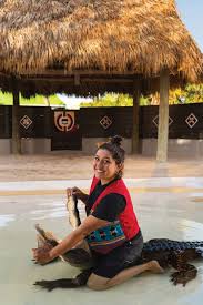 (where is mom in all this?!?…. Meet The Miccosukee Tribe S First Female Alligator Wrestler Sarasota Magazine