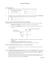 Codominance worksheet blood types answers worksheets for all from monohybrid cross worksheet answers , source: Genetic Problems Monohybrid Worksheet Answers Amoeba Sisters Monohybrid Crosses Key