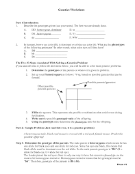 Genetic Problems Monohybrid Worksheet Answers Amoeba Sisters Monohybrid Crosses Key