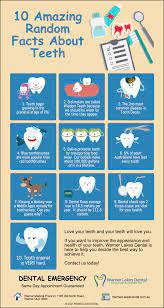 Did you know that each nation. 10 Fun Random Facts About Teeth Warner Lakes Dental