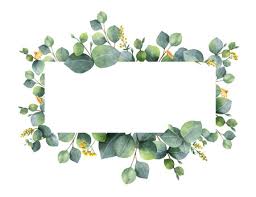 Find vectors of leaf border. 540 497 Leaf Border Stock Photos And Images 123rf
