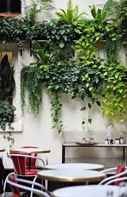 pin op kamerplanten indoorplants