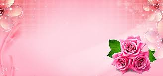 Pink Flowers Pink Floral Background Plain Background Colors Flower Frame