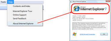 How To Check Browser Version?