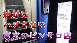 東京で本当に人気の「有名ピンサロ店」を実体験を基に紹介してみる【2020年最新版】 | 世界中で夜遊び！【ナンパと風俗】