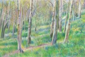 I go through each section as i draw it, describing what i am doing, giving tips and talking about the methods i use for colored. Making A Mark Bluebell Beginnings