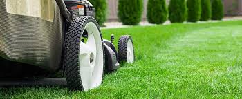 It's best to leave it to skilled and experienced professionals your yard should have the proper positive grade to keep water from pooling up. How To Level A Yard In 8 Proven Steps Landscape Grading